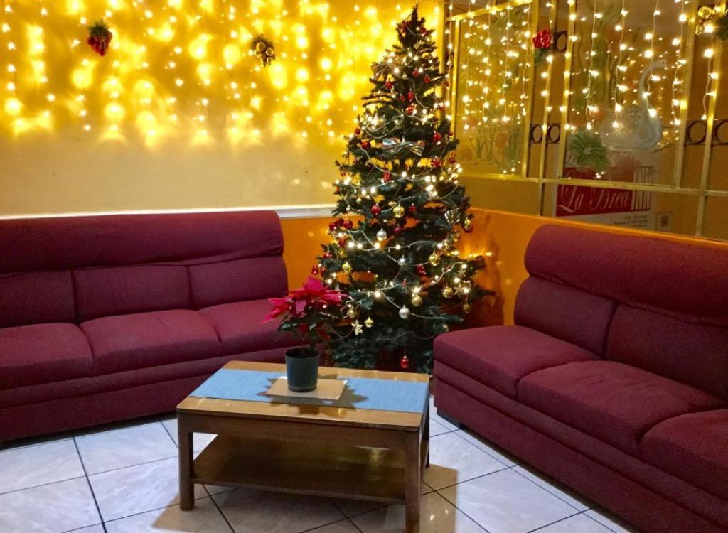 La Brea Inn Baguio City Zewnętrze zdjęcie
